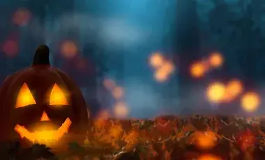 Jack-o'-lantern in a forest