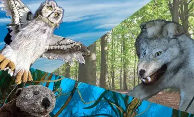 Image of animal puppets
