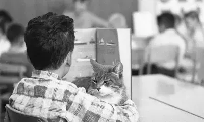student reads book with cat at desk