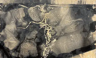 black and white abstract close up.