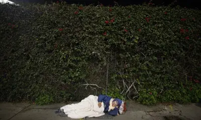 Person sleeping on sidewalk under bougainvillea tree