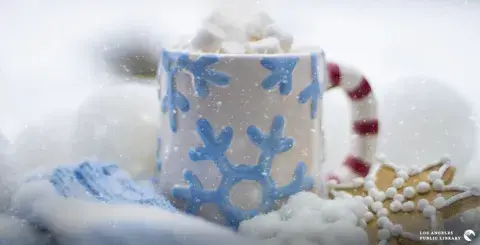cup of hot cocoa with marshmallows