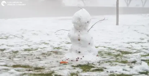 melting snowman in a field