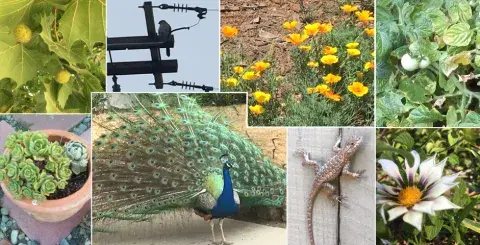 Pics of nature around the neighborhood