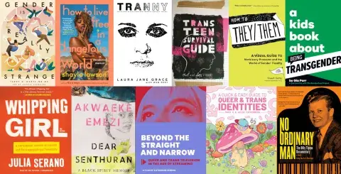 Collage of books to celebrate transgender people and International Transgender Day Of Visibility