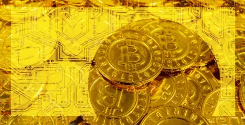 close up collection of gold bitcoins