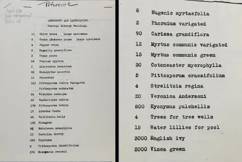  typed List the plants purchased for Central Library 1926 