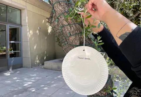 person holds up paper plate on a string outside
