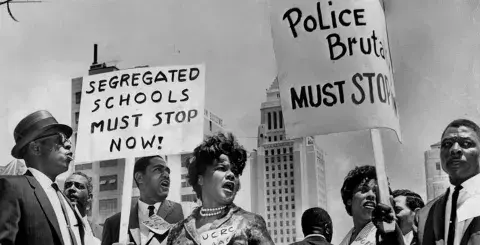 A group of people protesting against segregation in schools and police brutality.