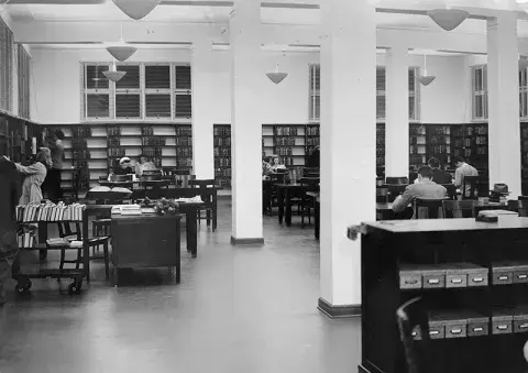Patrons at the Hollywood branch library sitting at tables while staff reshelve books.