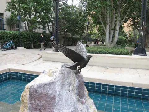 Falcon