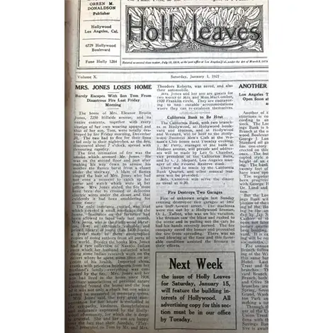 Holly Leaves, January 1, 1920
