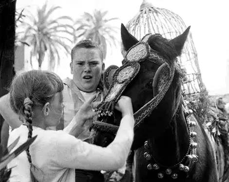 Girl, boy and horse
