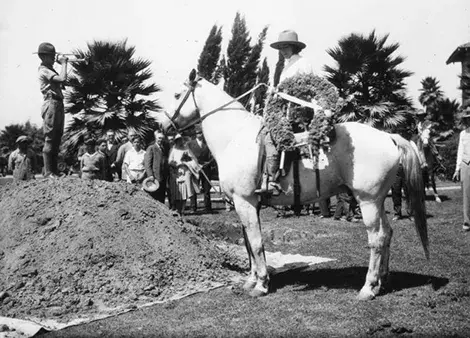 Funeral for a horse