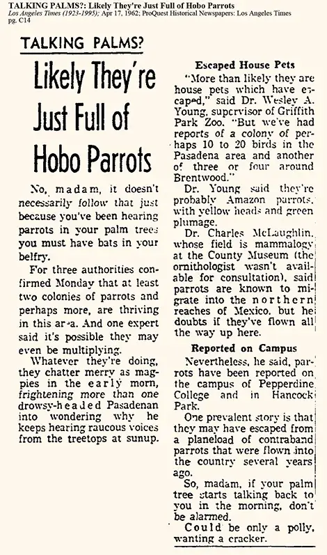newspaper article from 1962
