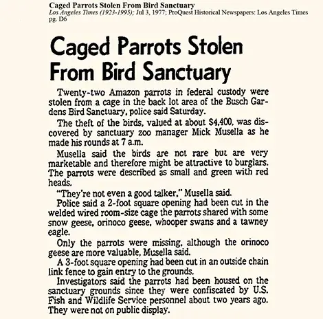 vintage newspaper