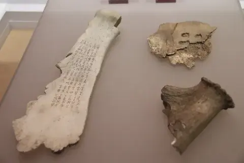 Oracle bones from Yinxu, Anyang, Henan, China