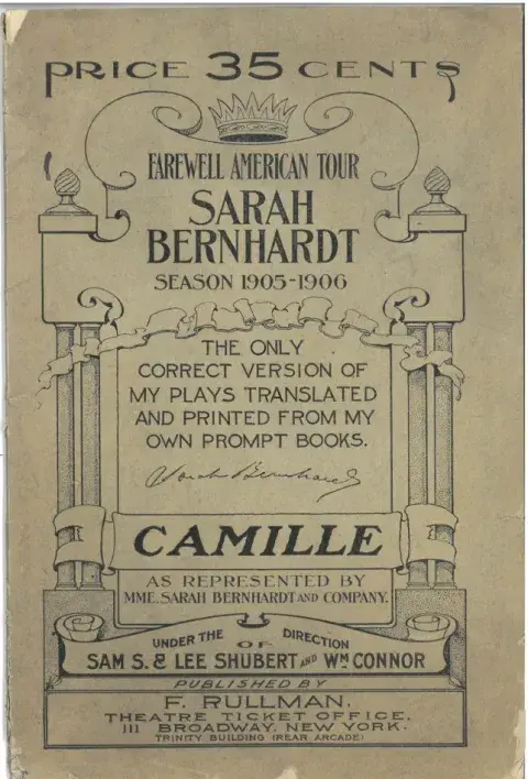 Synopsis of La Dame aux Camelias