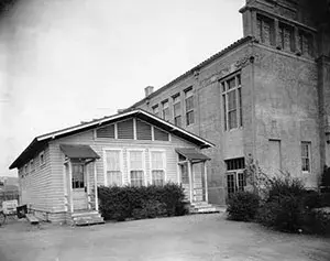 Branch Photo