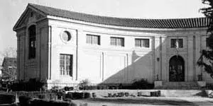 Branch Photo