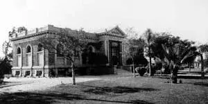 Branch Photo