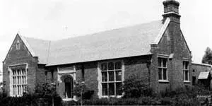Branch Photo