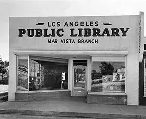 Branch Photo