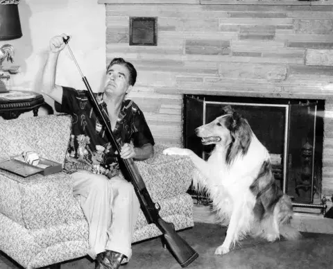 Lassie