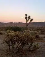 Desert America: Boom and Bust in the New Old West