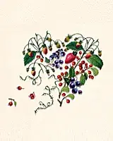 vintage illustration of berries and leaves