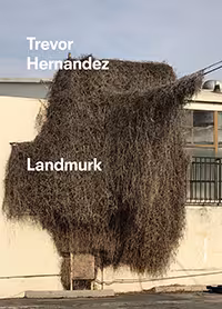 Landmurk