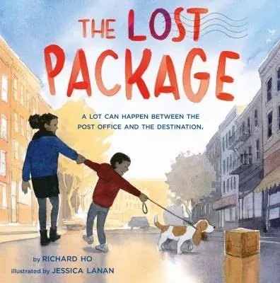 Cover image for The lost package