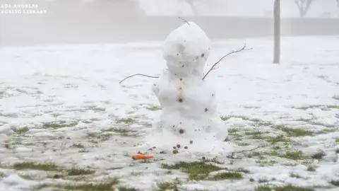 melting snowman in a field
