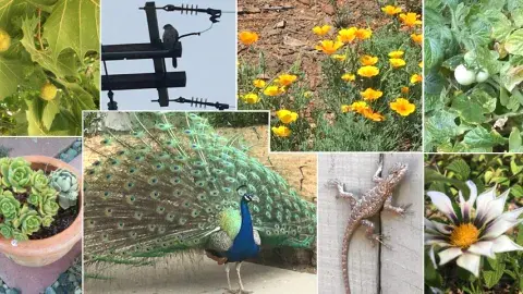 Pics of nature around the neighborhood