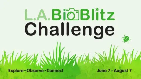 BioBlitz header
