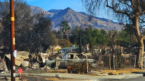 view of fire damaged Altadena
