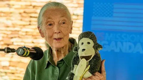 Jane Goodall at a conference holding a monkey toy