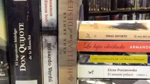 image shows a number of Spanish language books