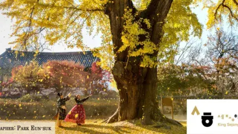 A woman under a tree with a building in the background.