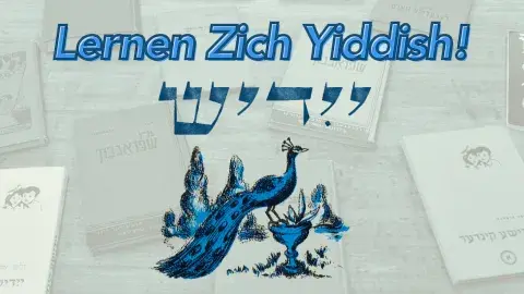 blue peacock and blue yiddish writing