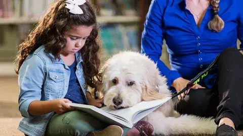 child reading to a dog