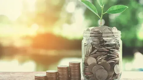 jar of coins with sprouting plant