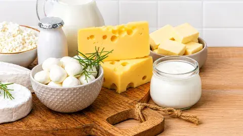 Yogurt, butter and cheese on a table 