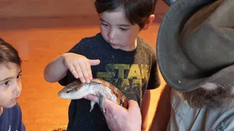 Two young boys looking at a lizard. One of the boys is gently touching the lizard’s back with his fingers.  An adult, wearing a brown hat and a tan shirt, is holding the lizard carefully in their hands so the children can see it up close. The lizard is light-colored with dark brown or orange stripes.