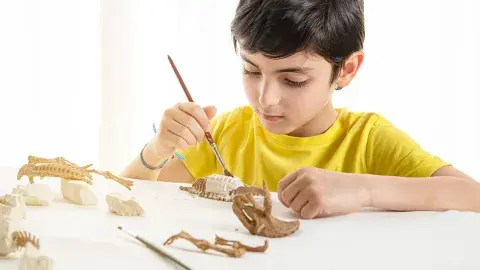 A boy brushing a fossil.