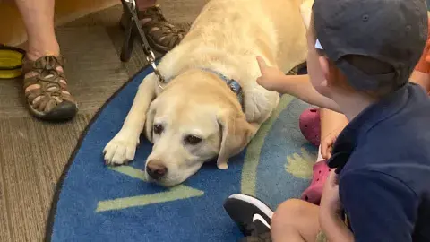 Child pointing to a dog lying on the ground 