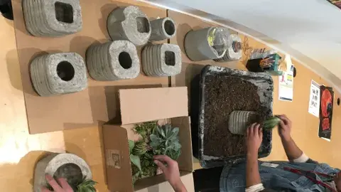 Cement planters, box of dirt and succulents