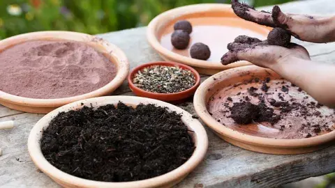 Hands rolling clay and compost seed bombs beside trays of soil and seeds.