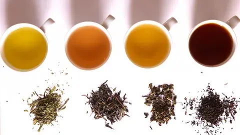 Photos of four brewed teas next to the original tea leaves. 