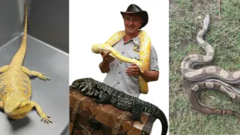 Yellow lizard, snake, and a guy with a snake around his neck. 